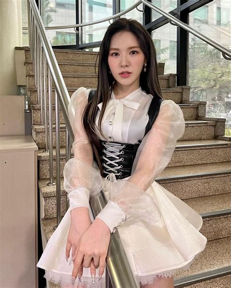 velvet wendy dress